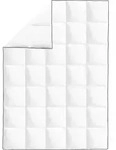 vidaXL Winter-Daunendecke 2 Stk. 155x220 cm - Wei&szlig;