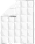 vidaXL Winter-Daunendecke 2 Stk. 140x200 cm - Wei&szlig;