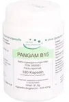 Pangam Vitamin B15 Vegi Kapseln