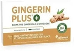 Gingerin Plus hochkonzentriertes fl&uuml;ssiges Ingwer-Extrakt Kapseln, 60 St. Kapseln