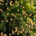 Kaemingk Lumineo Cluster Lichterkette 768 LED klassisch warm au&szlig;en 7 m schwarz...
