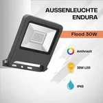 LEDVANCE ENDURA FLOOD, Graphit, IP65, Aluminium, I, IK06, 30 W - Grau