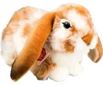Hase hellbraun-wei&szlig; gescheckt, ca. 30cm - Orange