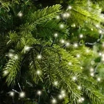 Kaemingk Lumineo Lichterkette Compact 2000 LED warmwei&szlig; au&szlig;en 45 m gr&uuml;n - Gr&uuml;n