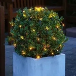 Lumineo Durawise Buchsbaumnetz BATTERY LIGHTS 128 LED &Oslash; 80cm warm wei&szlig; -...