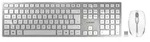 CHERRY DW 9100 SLIM, Kabellos, RF Wireless + Bluetooth, QWERTY, Silber, Maus