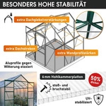 BRAST Gew&auml;chshaus Aluminium mit Fundament | 190x190x195cm | 6mm...