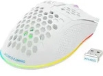 Deltaco WM80 Gaming Maus Wireless ultraleicht RGB wei&szlig; - Wei&szlig;