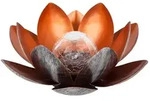 Dehner Solarleuchte Lotus, Lichtfarbe warmwei&szlig; / kaltwei&szlig;, &Oslash; 27.5 cm, H&ouml;he 12 cm,