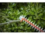 Black&Decker Akku-Heckensch,36V o.Akku,55cm,S&auml;ge BCHTS36B