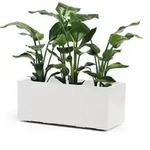 Pflanzkasten GREENER KEBE 100 cm wei - Wei&szlig;