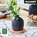 WAGNER Pflanzenroller MASSIV &Oslash; 25 x 5 cm, f&uuml;r Innenbereich, Buchenholz, natur,