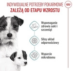 ROYAL CANIN Mini Starter Mutter & Welpen 8kg Trockenfutter f&uuml;r tr&auml;chtige...