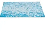 TRIXIE K&uuml;hlplatte - blau - 35 &times; 25 cm - Blau