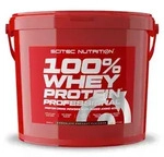 Scitec Nutrition Whey Protein Professional 5kg Eimer Schoko-Kokos