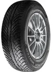 1x Cooper DISCOVERER WINTER XL M+S 3PMSF TL Winterreifen 205/55 R17 95V XL M+S 3PMSF