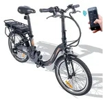 Fafrees 20F054 Faltbares 20 Zoll E-bike 250W Citybike 36V/10AH Elektrofahrrad