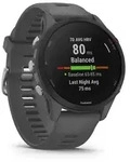 Garmin Forerunner 255 -46mm - schiefergrau - Grau