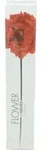 KENZO Flower Donna, Frauen, 100 ml, 1 St&uuml;ck(e)