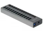 Delock Externer SuperSpeed USB Hub mit 13 Ports + Schalter - Grau