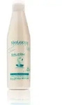 SALERM 21 Seidenprotein Leave-in Conditioner 250 ml