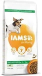 Iams Adult Dog S/M Lamb