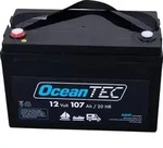 Q-Batteries 12LC-100 / 12V - 107Ah Blei Akku Zyklentyp AGM - Deep Cycle VRLA