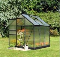 Gew&auml;chshaus Halls Popular 66 Polycarbonat 4 mm 193 x 319 cm schwarz
