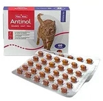 Antinol Katze 60 Kapseln