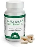 Bacillus subtilis plus Dr.Jacob's Kapseln 60 St