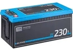 ECTIVE DC 230S AGM Deep Cycle mit LCD-Anzeige 230Ah Versorgungsbatterie - 0% nach