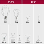 Paulmann Grow Green Edition Filament 230V LED Reflektor R80 - Silber