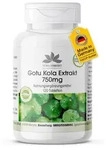 Gotu Kola 750mg - 120 Tabletten - hochdosierter Extrakt - vegan - mit Zink und