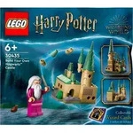 LEGO Baue dein eigenes Schloss Hogwarts - Bunt