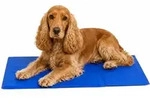 lionto K&uuml;hlmatte, angenehme Abk&uuml;hlung f&uuml;r Hunde & Katzen, selbstk&uuml;hlend & sicher,