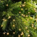 Kaemingk Lumineo Lichterkette Compact 750 LED klassisch warm au&szlig;en 16 m gr&uuml;n -