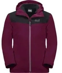 Jacken Jack Wolfskin 16090712501 - Violett - 158
