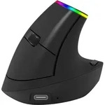 Ordissimo ergonomic wireless mouse - Schwarz/Grau