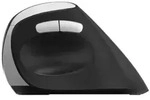 Rapoo EV250 Schwarz Wireless Ergonomic Mouse - Schwarz/Silber