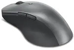 Lenovo Professional - Maus - ergonomisch - optisch blau - Grau