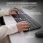 Cherry Stream Desktop - Grau