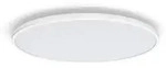 Philips Funktional Ozziet Deckenleuchte - 36 W - LED - Nicht austauschbare(s)
