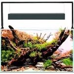 Aquarium AQUAEL UltraScape 60 mit LED Beleuchtung ca. 64 l OPTI-Glas, Wei&szlig;glas, ohne