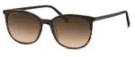 MARCO'POLOEYEWEAR Sonnenbrille f&uuml;r Erwachsene - Braun