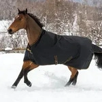 Bucas Outdoordecke 300g Irish Turnout High Neck Weidedecke Black/ Gold 165 -