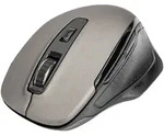 Digitus Wireless Optical Mouse, 6 Tasten, Ergonomisch, Beidh&auml;ndig, Optisch, RF