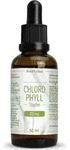 Chlorophyll 200 mg Tropfen 50 ml