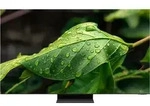 Neo QLED GQ-65QN900C, QLED-Fernseher - Schwarz