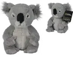 SIMBA National Geographic Cuddly Koala, 25 cm