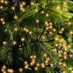 Kaemingk Lumineo Cluster Lichterkette 588 LED klassisch warm au&szlig;en 5,5 m...